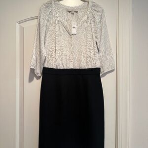 Loft NWT Black and White Dress